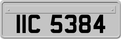 IIC5384