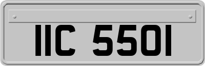 IIC5501
