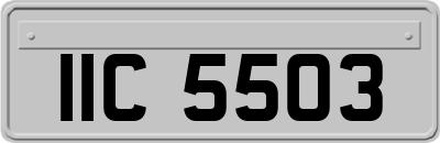 IIC5503
