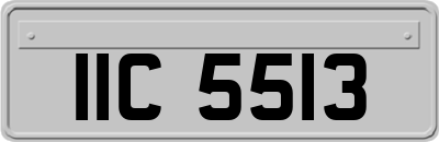 IIC5513