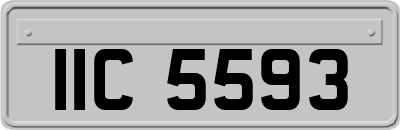 IIC5593