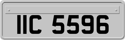 IIC5596