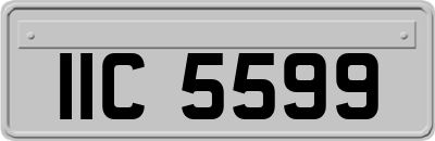 IIC5599