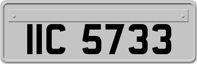 IIC5733
