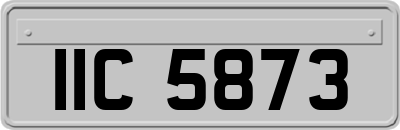 IIC5873