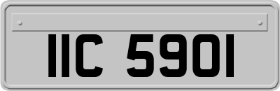 IIC5901