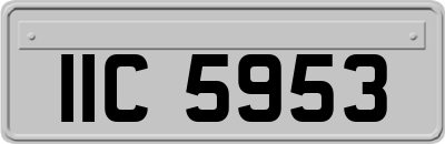IIC5953
