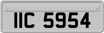 IIC5954