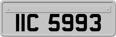 IIC5993