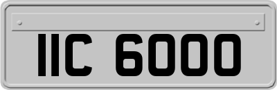 IIC6000