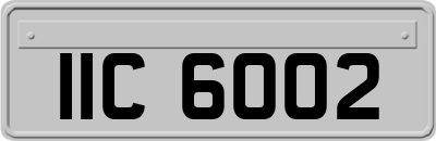 IIC6002