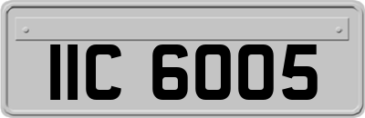 IIC6005