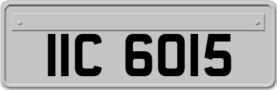 IIC6015
