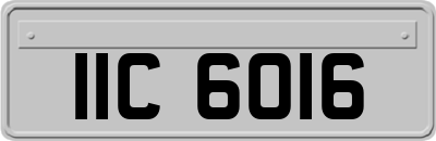 IIC6016
