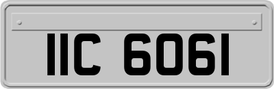 IIC6061