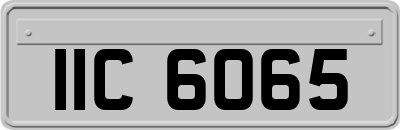 IIC6065