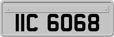 IIC6068