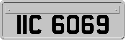 IIC6069