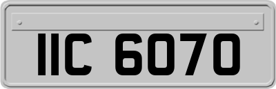 IIC6070