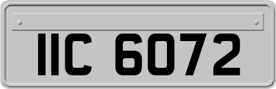 IIC6072