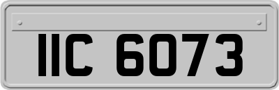 IIC6073