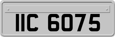 IIC6075