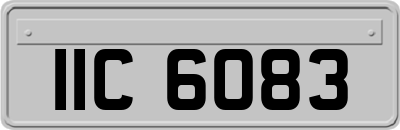 IIC6083