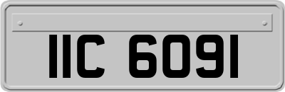IIC6091