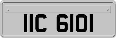 IIC6101