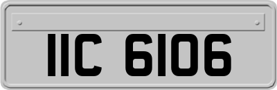 IIC6106