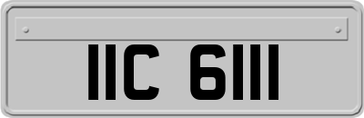 IIC6111