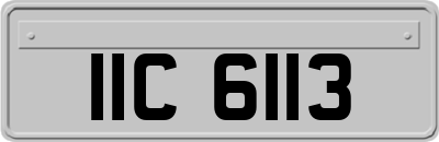 IIC6113