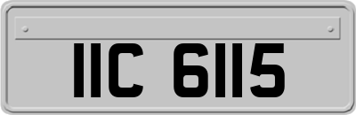 IIC6115
