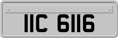 IIC6116