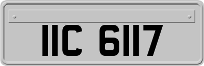 IIC6117