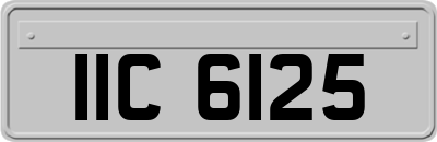 IIC6125