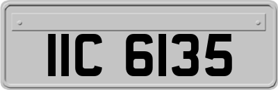 IIC6135