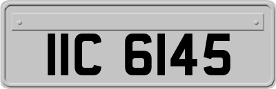 IIC6145