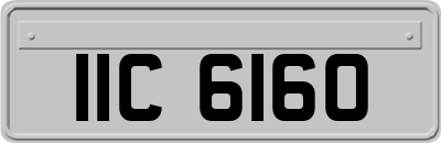 IIC6160