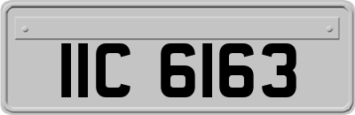 IIC6163
