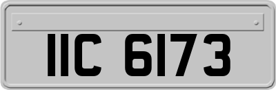 IIC6173