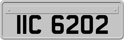 IIC6202