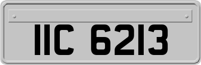 IIC6213