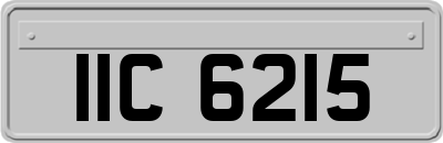 IIC6215
