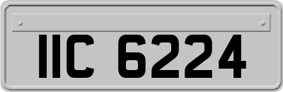 IIC6224