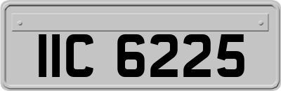 IIC6225