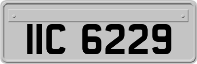IIC6229