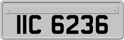 IIC6236
