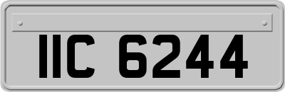 IIC6244