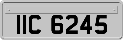 IIC6245